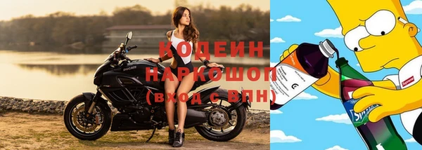 гидропоника Горняк